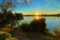 waking-up-with-this-view-from-our-standard-bungalows